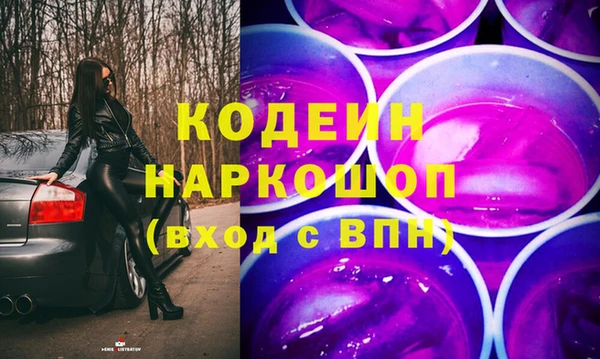 прущие грибы Верхний Тагил
