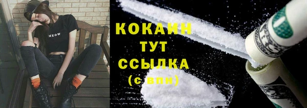 прущие грибы Верхний Тагил