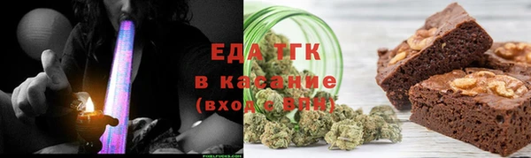 прущие грибы Верхний Тагил