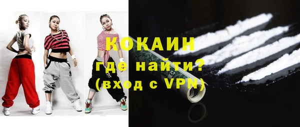 прущие грибы Верхний Тагил