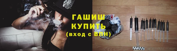 прущие грибы Верхний Тагил