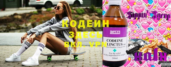 прущие грибы Верхний Тагил