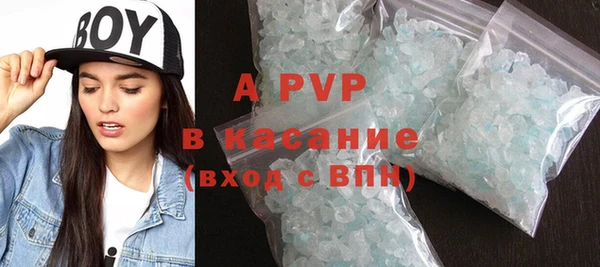 прущие грибы Верхний Тагил
