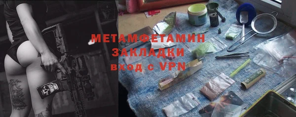 прущие грибы Верхний Тагил
