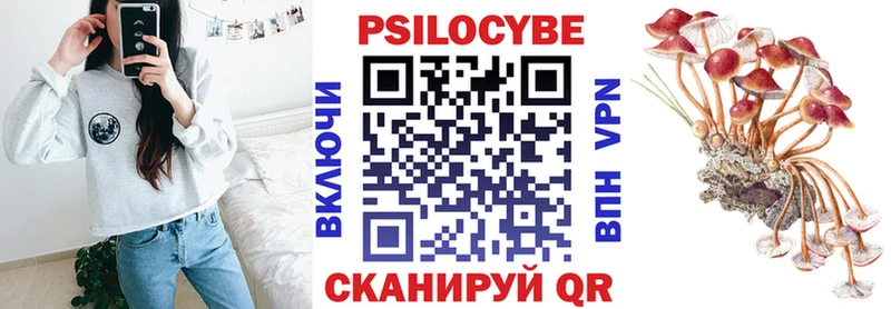 Псилоцибиновые грибы мухоморы  Купить закладки  Георгиевск 