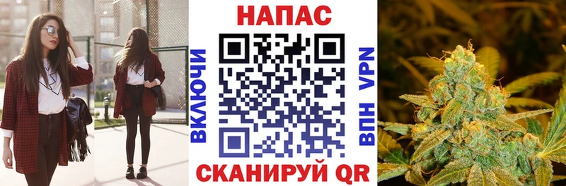 Купить  Георгиевск  Бошки марихуана тримм 